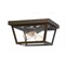 Quoizel Rue De Royal 2-Light Industrial Bronze Flush Mount RO1312IZ - alternate 1